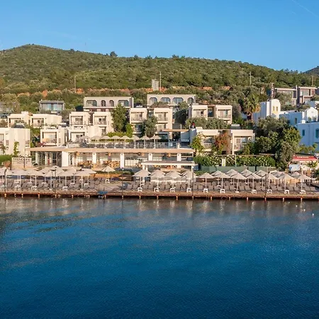 Trendlife Torba * ボドルム