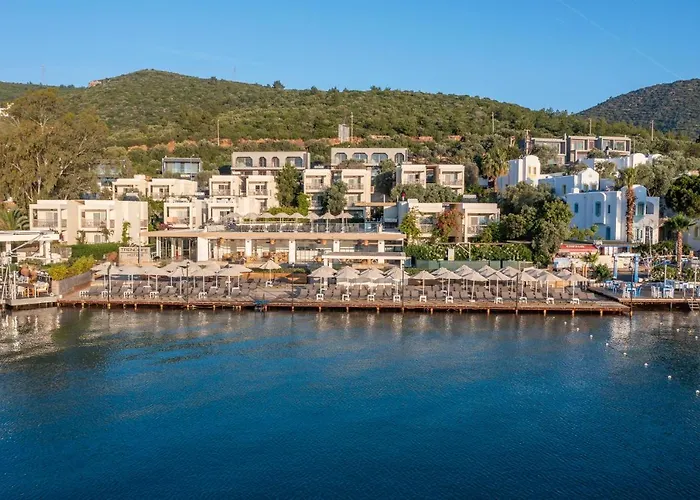 Trendlife Torba * Bodrum