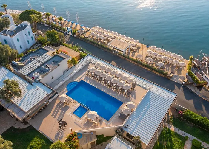 Trendlife Torba Hotel *