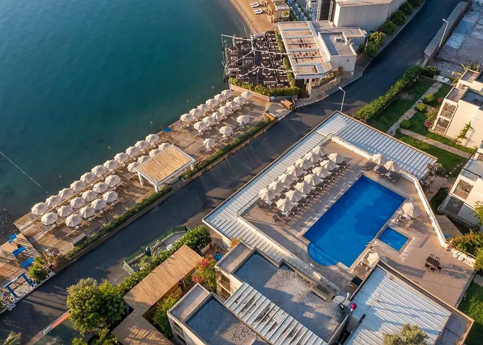 Hotel Trendlife Torba *