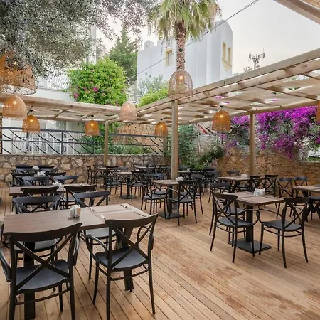 Trendlife Torba Hotel *