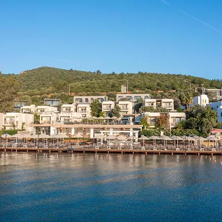 Trendlife Torba Hotel