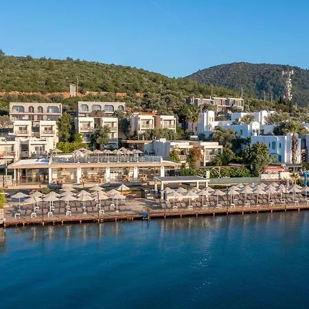 Trendlife Torba * Bodrum