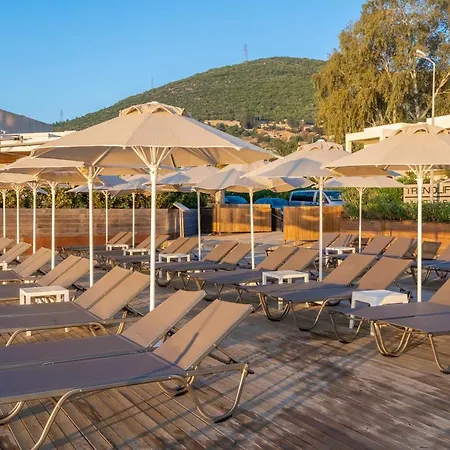 فندق Trendlife Torba
