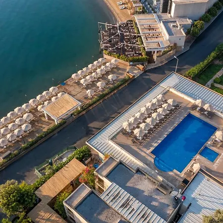 Отель Trendlife Torba *