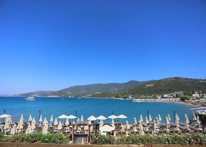 Hotell Trendlife Torba *