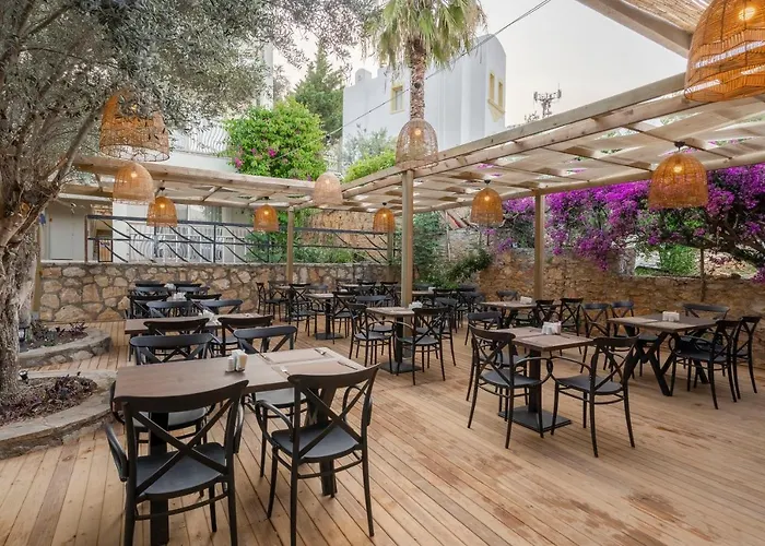 Trendlife Torba Hotell *