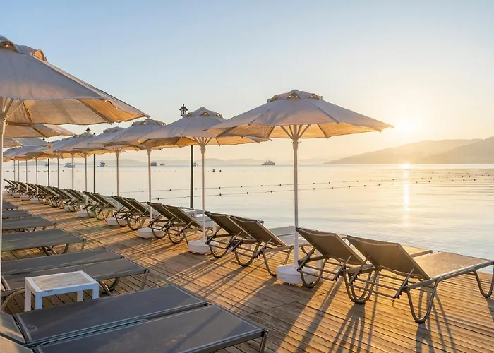 Hotell Trendlife Torba