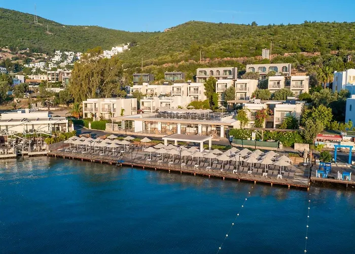 Hotell Trendlife Torba *