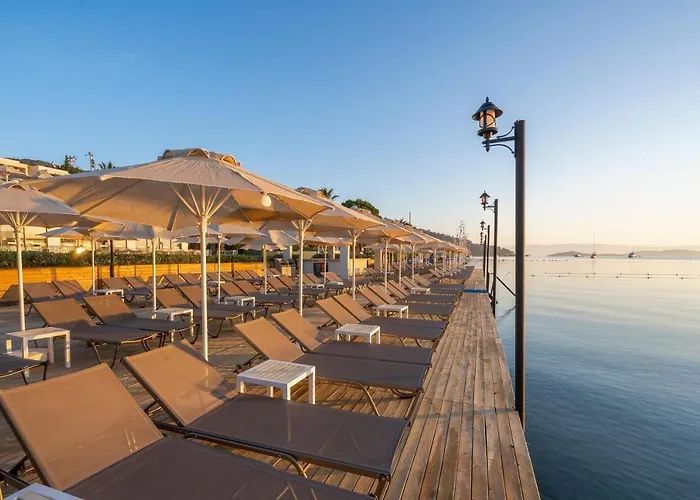 Hotell Trendlife Torba Bodrum