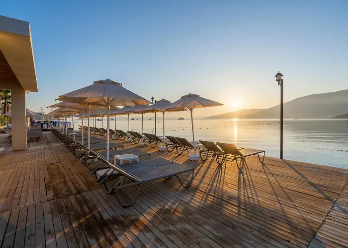 Hotel Trendlife Torba