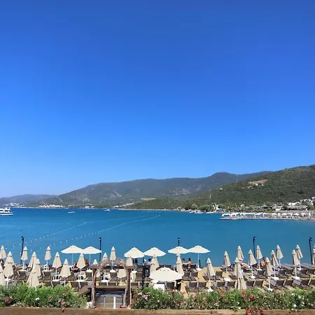 Hotell Trendlife Torba *