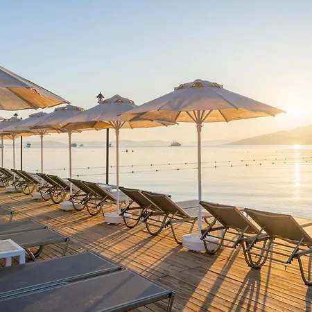 Hotell Trendlife Torba
