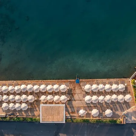 Hotel Trendlife Torba