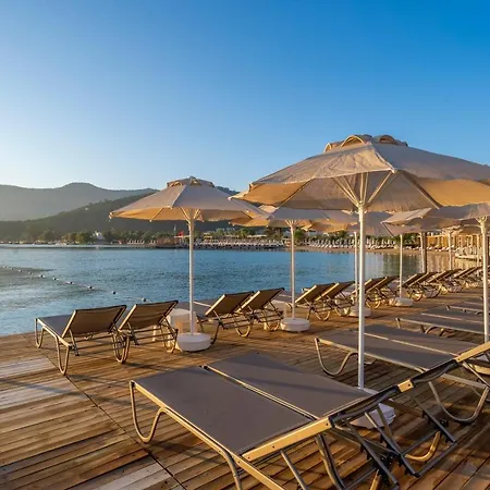 Hotell Trendlife Torba *