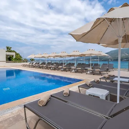 Hotell Trendlife Torba *