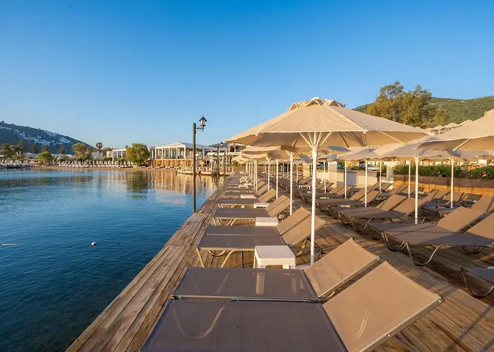 Hotel Trendlife Torba *